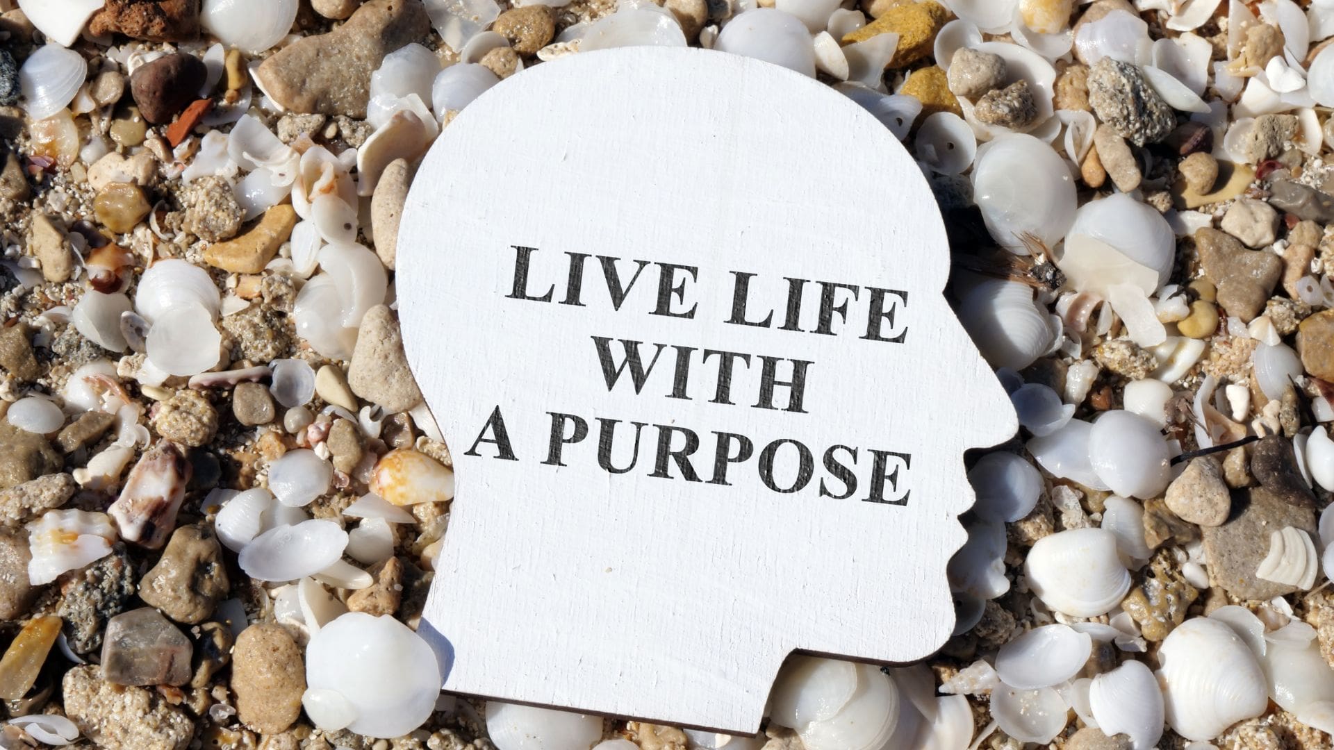 The Search for Purpose