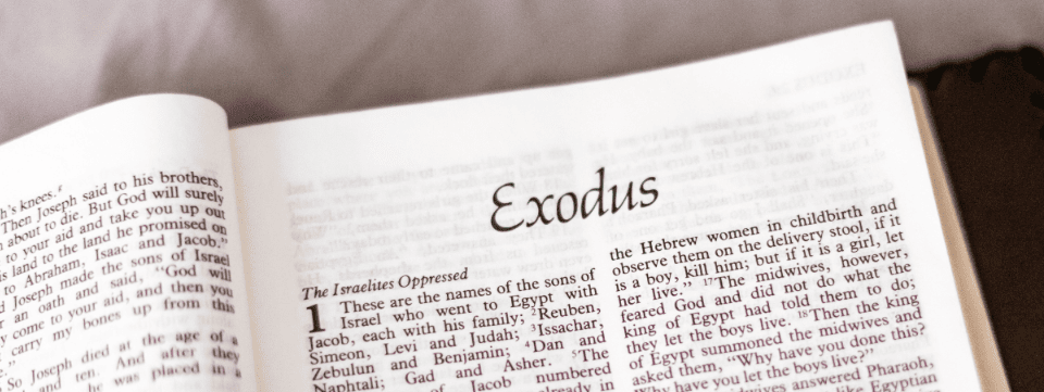 The Law of God