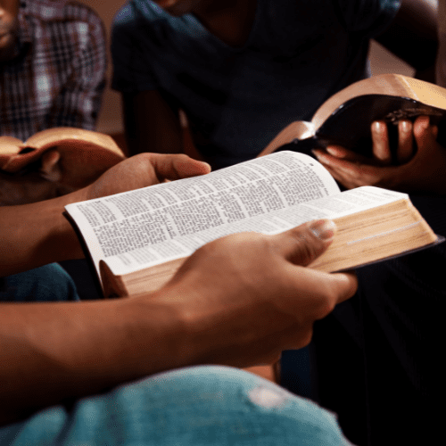 Bible Study Online